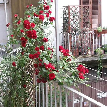 Le Passage Appartement *